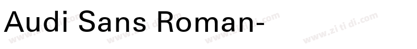 Audi Sans Roman字体转换